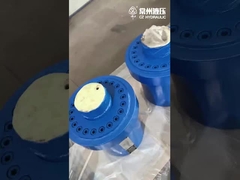 Hydraulischer Zylinder für die Presse